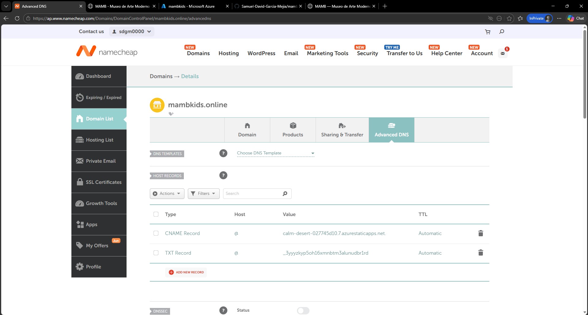 Configuración de registros DNS en Namecheap